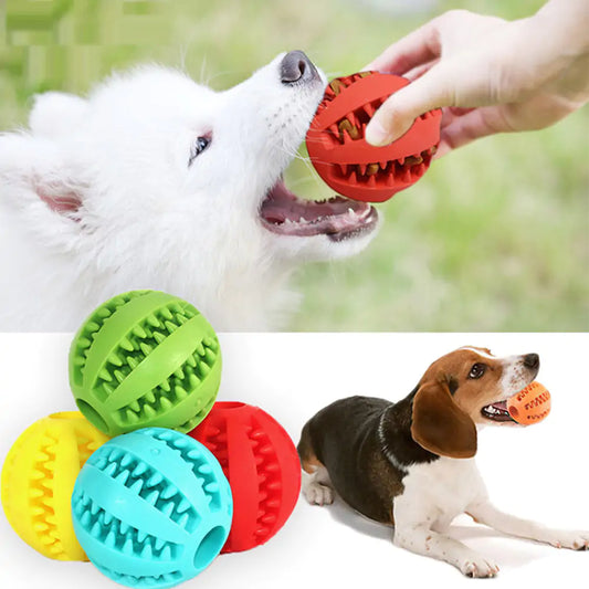 Active Pup Rubber Balls